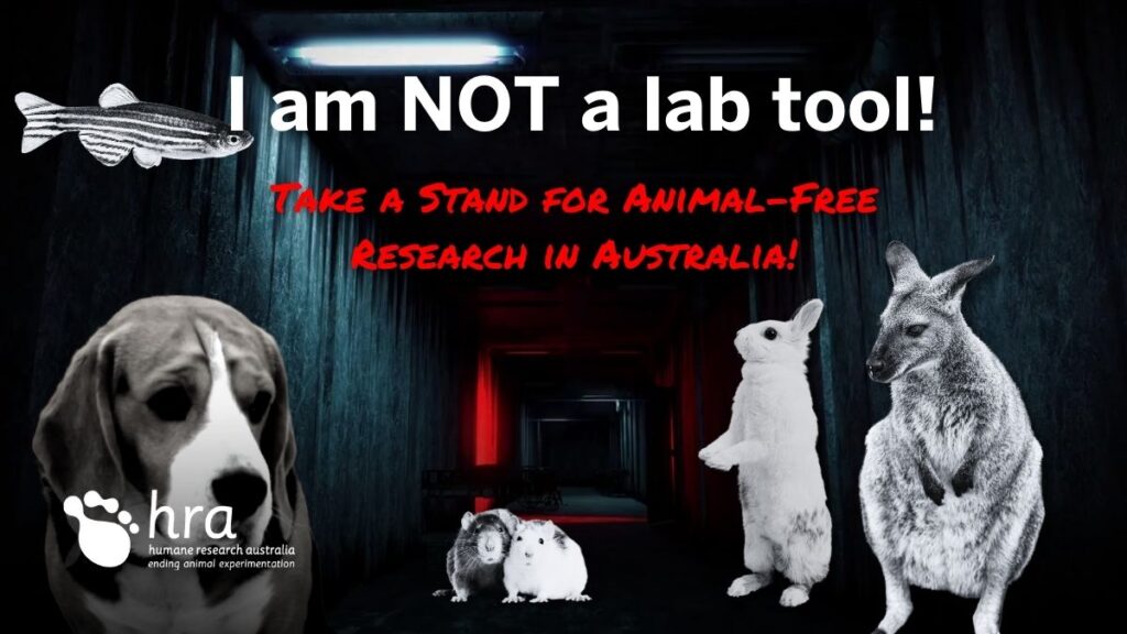 I am not a lab tool banner 2023